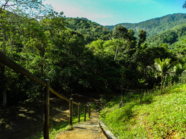 istock stairway in the middle of nature 1289982062