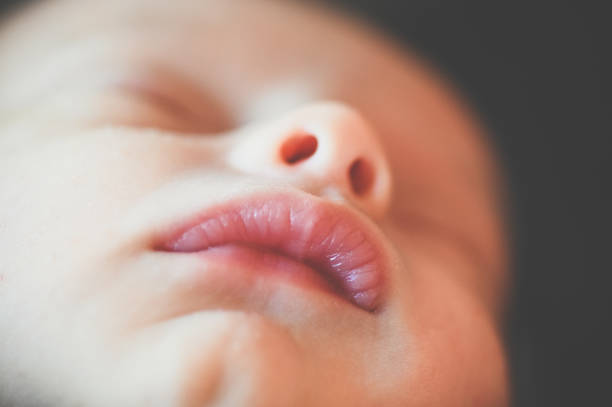Newborn nostrils mouth and cleft chin close up, baby face Close up of newborn baby flared nostril photos stock pictures, royalty-free photos & images