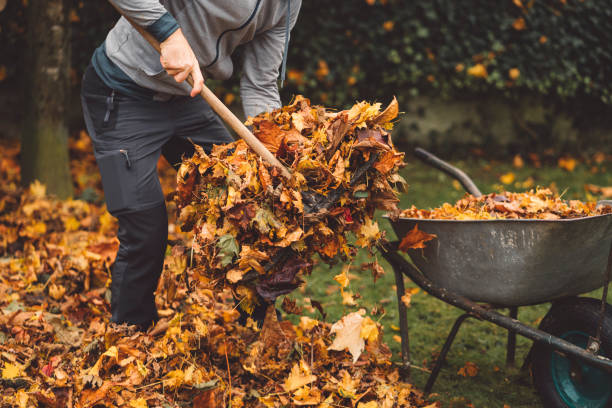 istock Gardener loading raked leaves on a wheelbarrow 1289990394