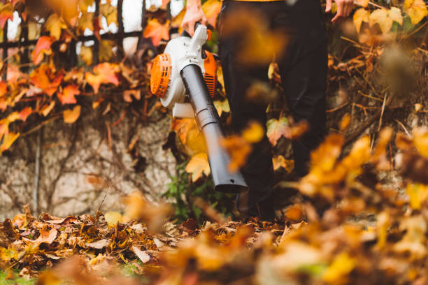 istock Crispy autumn leaves flying up in the air 1289990396