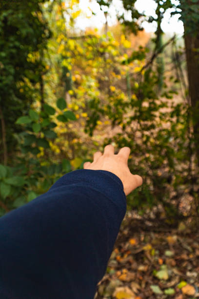 hand pointing to autumn tree leaves