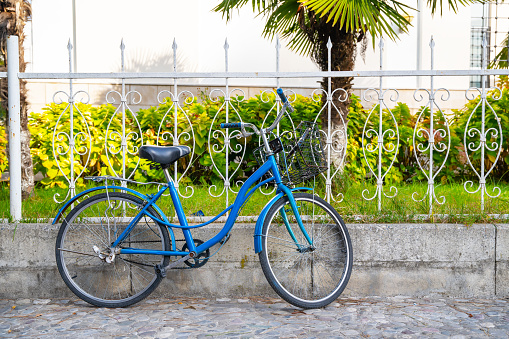 Urban landscape. Vintage blue bicycle is parked on the sidewalk by beautiful wrought-iron fence surrounding green garden with an exotic palm tree.