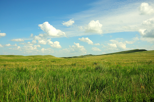 Endless hilly steppes overgrown with tall grass under a blue cloudy sky. Khakassia, South Siberia, Russia.