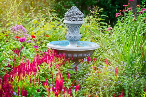 Photo of Backyard Water Fountain in a Garden