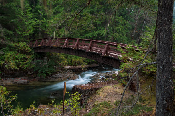 istock Little Qualicum Falls Provincial Park 1290003107