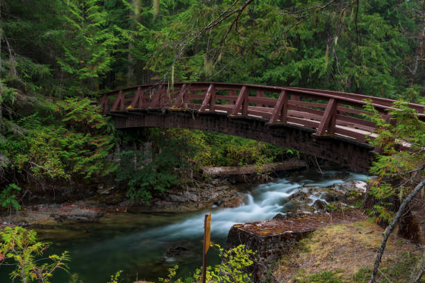 istock Little Qualicum Falls Provincial Park 1290003115