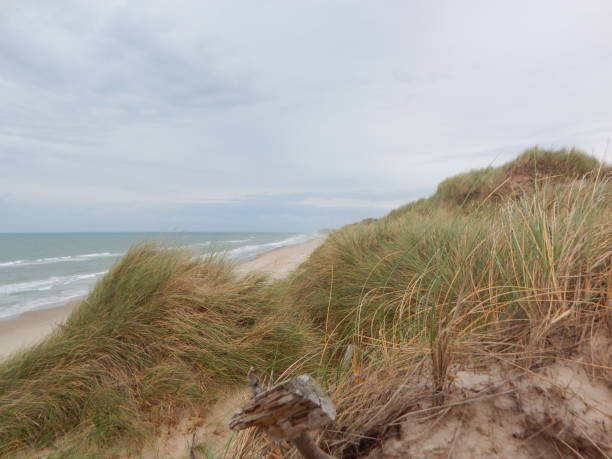 istock On the beach of the Danish west coast 1290005418