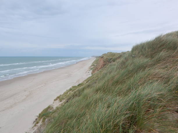 istock On the beach of the Danish west coast 1290005421