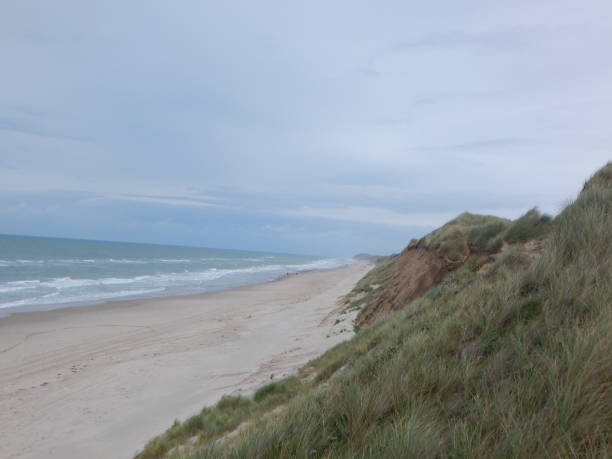 istock On the beach of the Danish west coast 1290005441