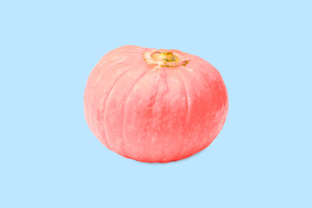 istock Pink pumpkin on a light blue background. Halloween pumpkin minimal 1290009107