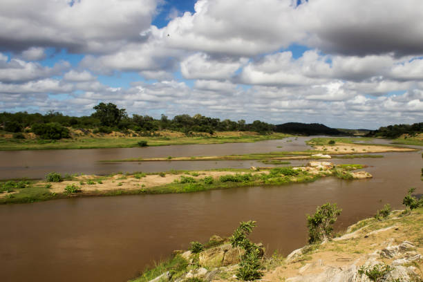 istock Olifants River with cumulus clouds 1290013764