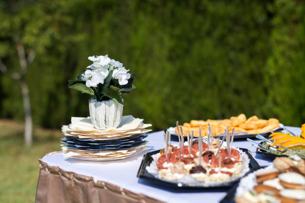 comida de catering al aire libre en la boda. mesa de banquetes en el patio trasero. enfoque selectivo. - croquet party front or back yard wedding fotografías e imágenes de stock