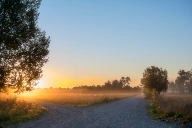 istock Crossroads. Concept of choice the correct way. 1290018254