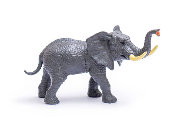 istock Plastic model of elephant. Elephant toy isolated on white. 1290031907