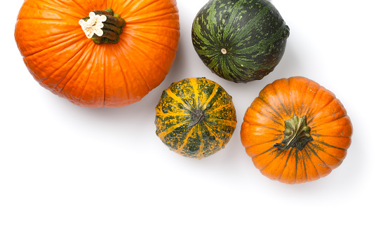Fresh autumn pumpkins isolated on white background. Top view