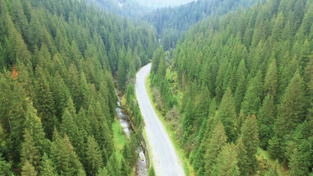istock Landscape mountain road through the forest. Drone view 1290032708