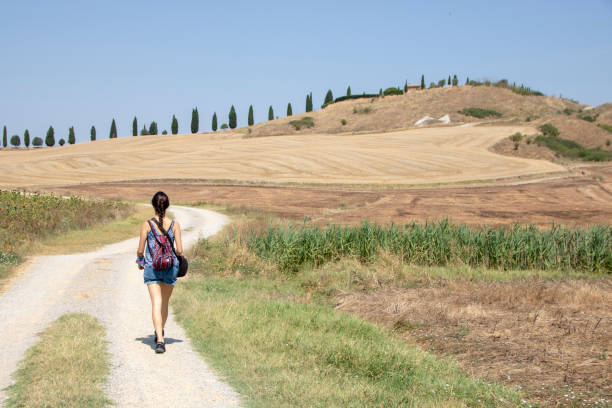 val d’orcia, doe - siena province photos et images de collection