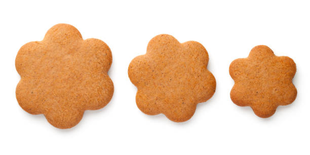 istock Gingerbread Cookies In Shape Of Flowers 1290035761