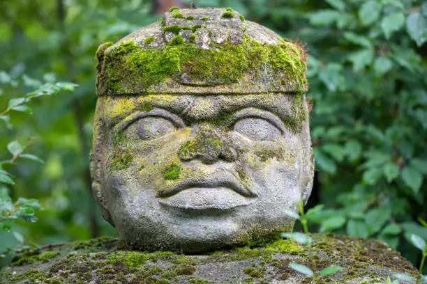 Replica of Olmec civilization Sculpture, colossal head carved from stone in forest. Big stone head statue in a jungle.