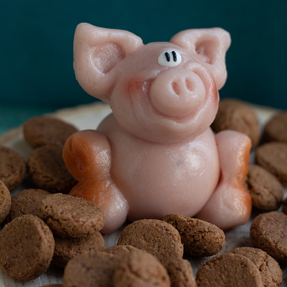 Pink piglet made of marzipan (almonds) with pepernoten cookies, traditional food on Sinterklaas celebration