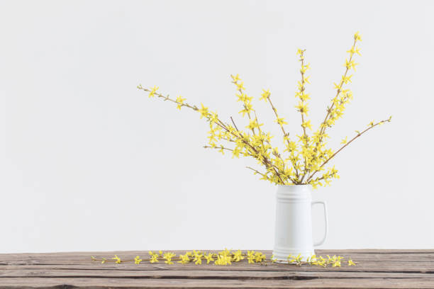 Photo of spring yellow flowers in white jug on white background