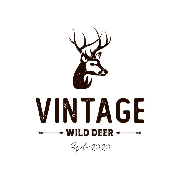 illustrazioni stock, clip art, cartoni animati e icone di tendenza di vintage rustic deer hunter logo design vector illustrazione stock illustrazione indonesia, cervo, fucile ad aria compressa, corno di cervo, logo, caccia - sport, hunte - ramificazione