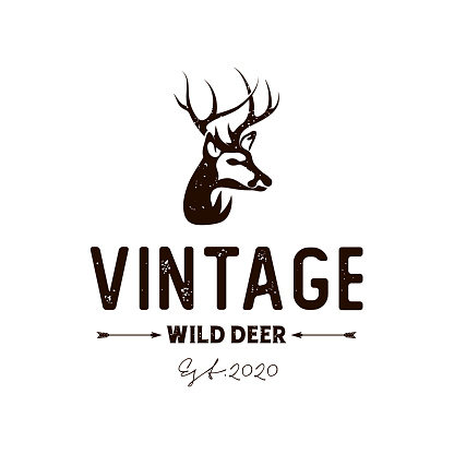 Vintage rustic deer hunter Vector illustration