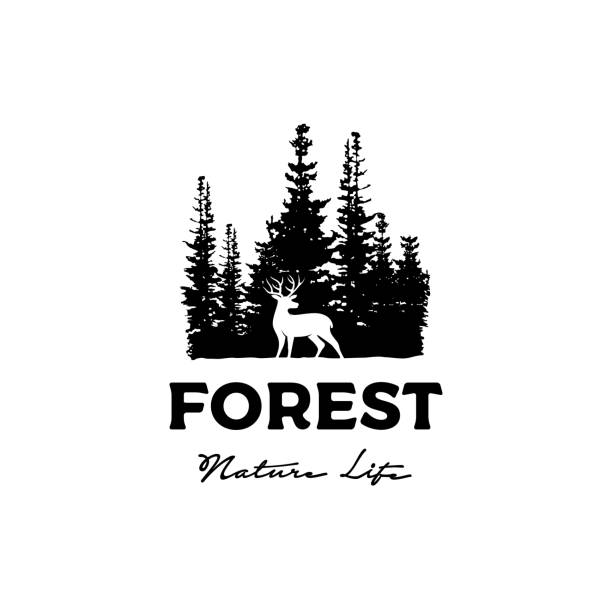 illustrazioni stock, clip art, cartoni animati e icone di tendenza di design logo deer and pine cedar spruce fir conifer forest silhouette wilderness adventure - alce americano