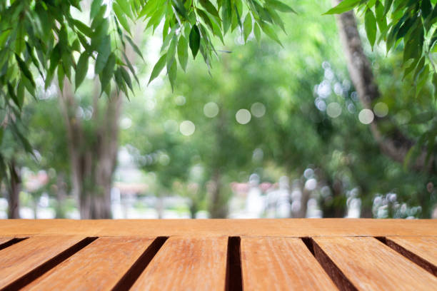 istock Selective focus of empty old wood on blur nature green leaf with bokeh abstract background. 1290042461