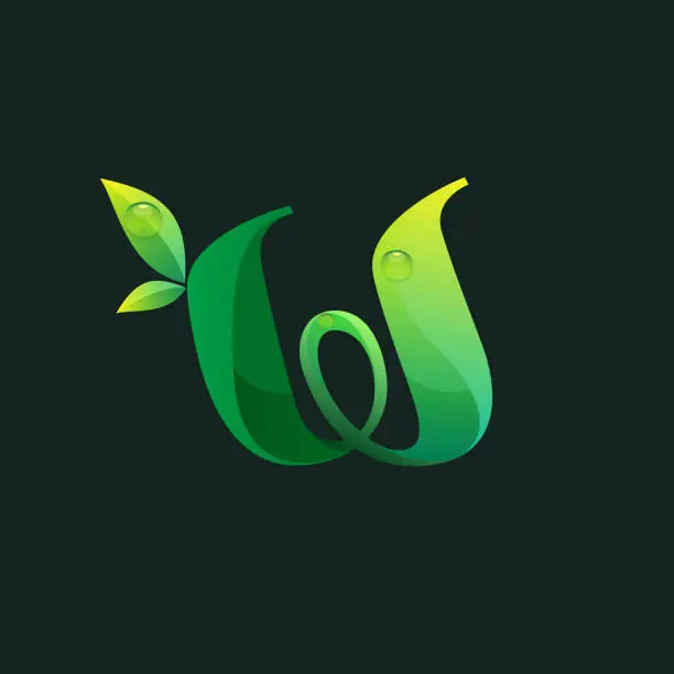 Vector illustration of Letter W ecology logo with green leaves and dew drops.