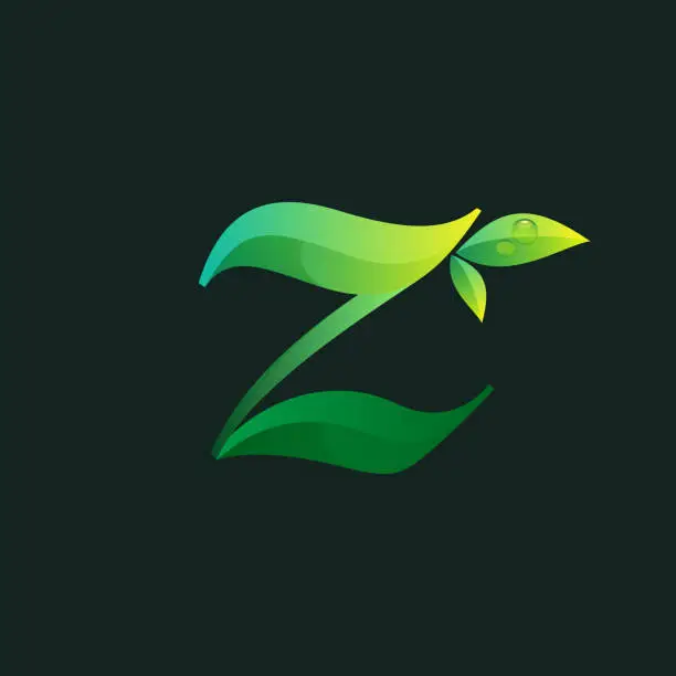 Vector illustration of Letter Z ecology logo with green leaves and dew drops.