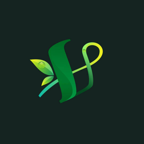 Letter V ecology logo with green leaves and dew drops. Vector icon perfect for agriculture labels, eco friendly food emblem, landscape posters and garden identity, etc. graffiti letter v stock illustrations