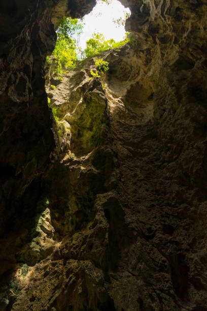 istock The light shining through trees inside the cave of Phraya Nakhon Cave at Prachuap Khiri Khan, Thailand. 1290044032