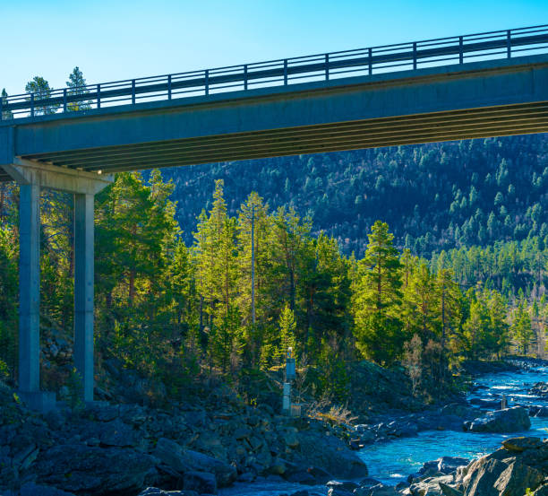 istock Modern highway bridge crossing over a wild river valley in a pine forest. 1290054378
