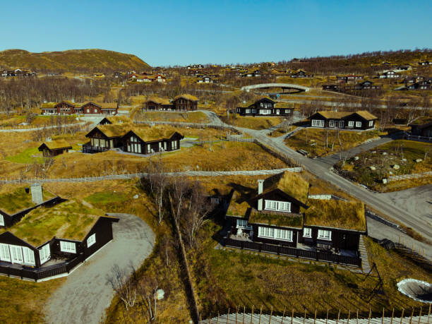 잔디 잔디 지붕 큰 고급 오두막. 베이토스톨렌, 노르웨이. - norwegian culture 뉴스 사진 이미지