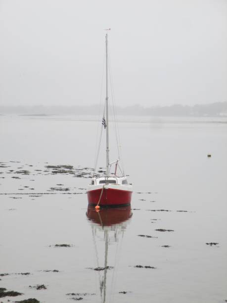 Photo taken at low tide in the Gulf of Morbihan - Tourist spot - Brittany - France
