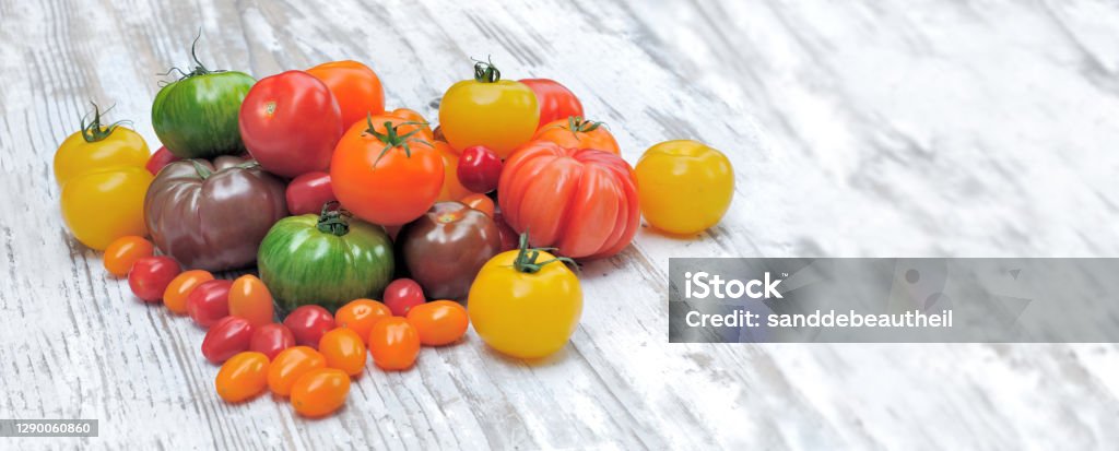 heap of colorful and various tomatoes on white wooden table Tomato Stock Photo