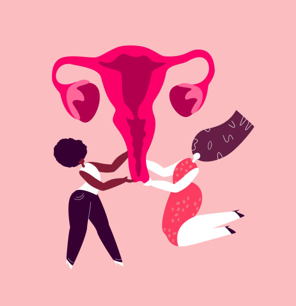 ilustrações de stock, clip art, desenhos animados e ícones de happy international woman day.feminism concept.bright beauty different girls support womb uterus.anatomical female ovaries.vagina symbol menstruation. free women. female empowerment. flat illustration - human fertility illustrations