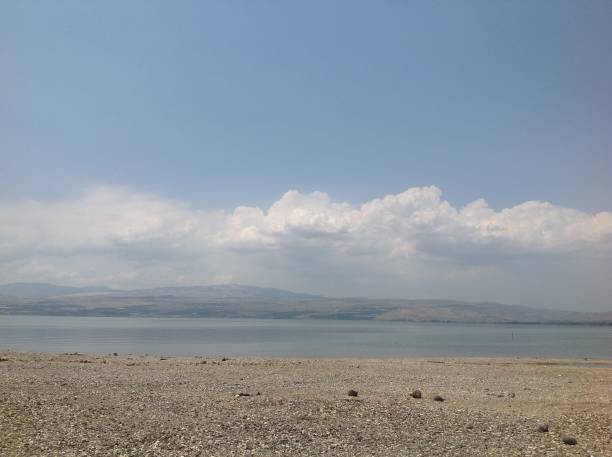 lago tiberias em uma luz suave da tarde de maio. - lake tiberius - fotografias e filmes do acervo