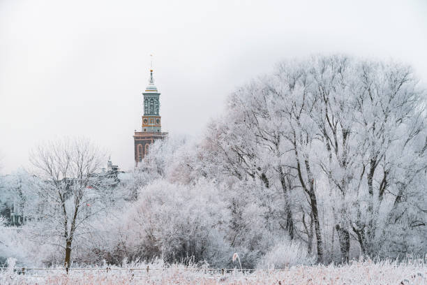 istock Frozen trees with the Nieuwe Toren (New Tower) in Kampen 1290071506