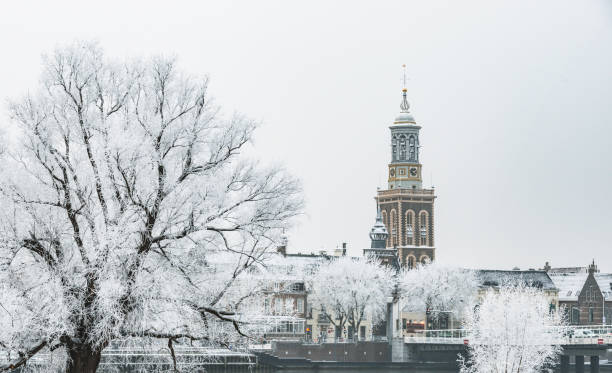 istock Frozen trees with the Nieuwe Toren (New Tower) in Kampen 1290071521
