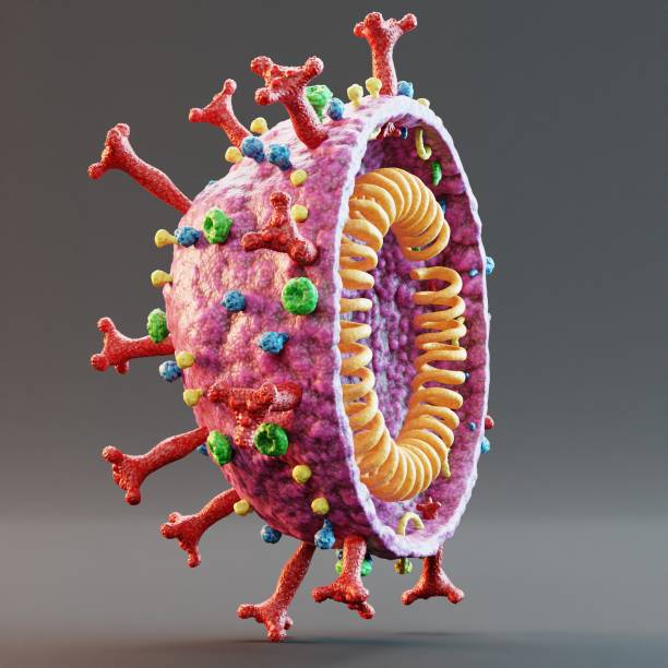istock Realistic 3D Render of Covid-19 Model 1290072769
