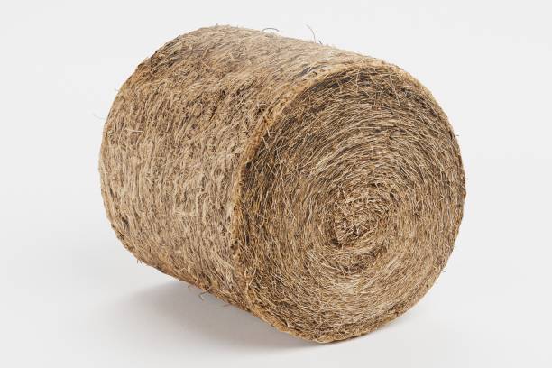 istock Realistic 3D Render of Hay Bale 1290072829