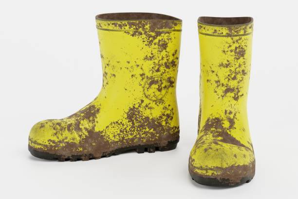 istock Realistic 3D Render of Gum Boots 1290072848