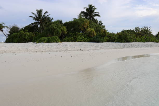 istock Catamaran trip on the Maldives 1290073022