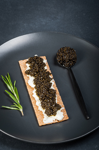 Black caviar of sturgeon in the biscuits with cream cheese. Spoon with caviar. Round blue plate. Dark background
