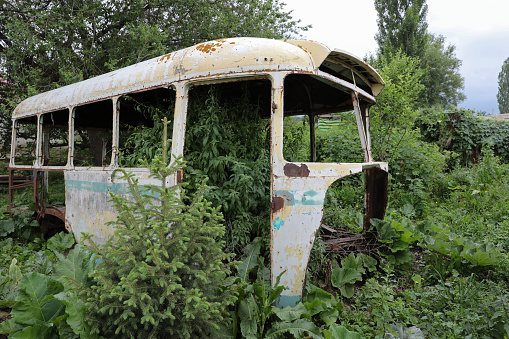 A minibus abandoned to nature