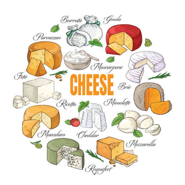 Collection of Cut sliced cheese assortment hand drawn sketch Collection of Cut sliced cheese assortment. Vector illustration. cheese drawings stock illustrations