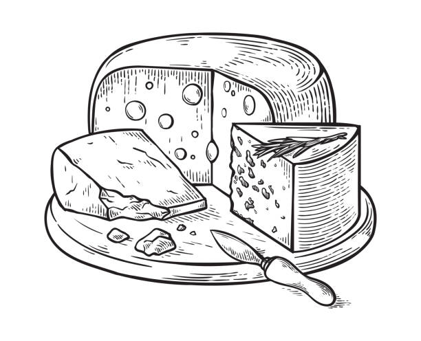 ilustrações de stock, clip art, desenhos animados e ícones de cheese hand drawn sketch engraving vector illustration. - parmesan cheese