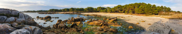 istock Beach and fores in Carreiron natural park 1290077566